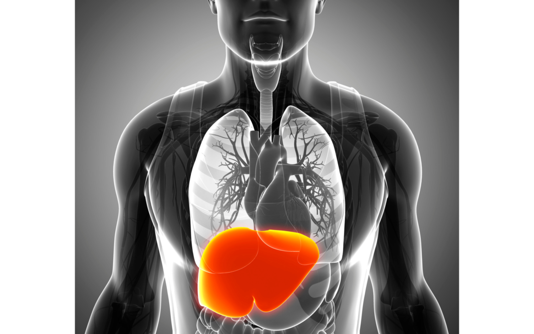 research liver health