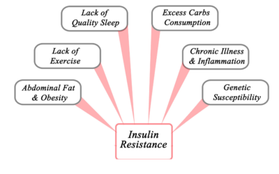 Is Insulin Resistance Slowing Your Weight Loss?