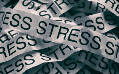 Adapting Your Body To Stress