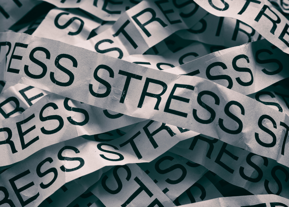 Adapting Your Body To Stress